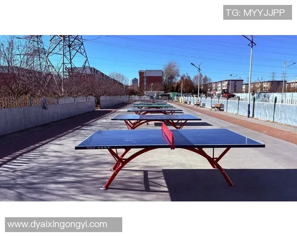 成都乒乓球队转型之路的真实记录与发展探索