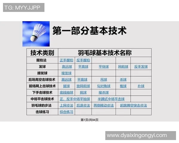 杭州羽毛球队总决赛战术分析与表现评估探讨