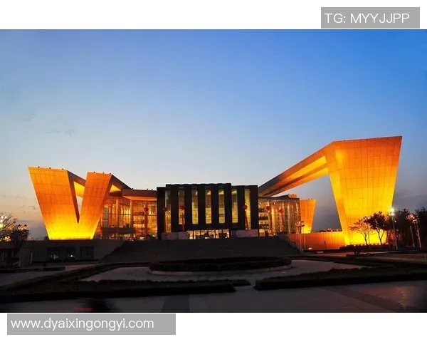 武汉篮球队在钻石联赛中的崛起与挑战历程全景回顾